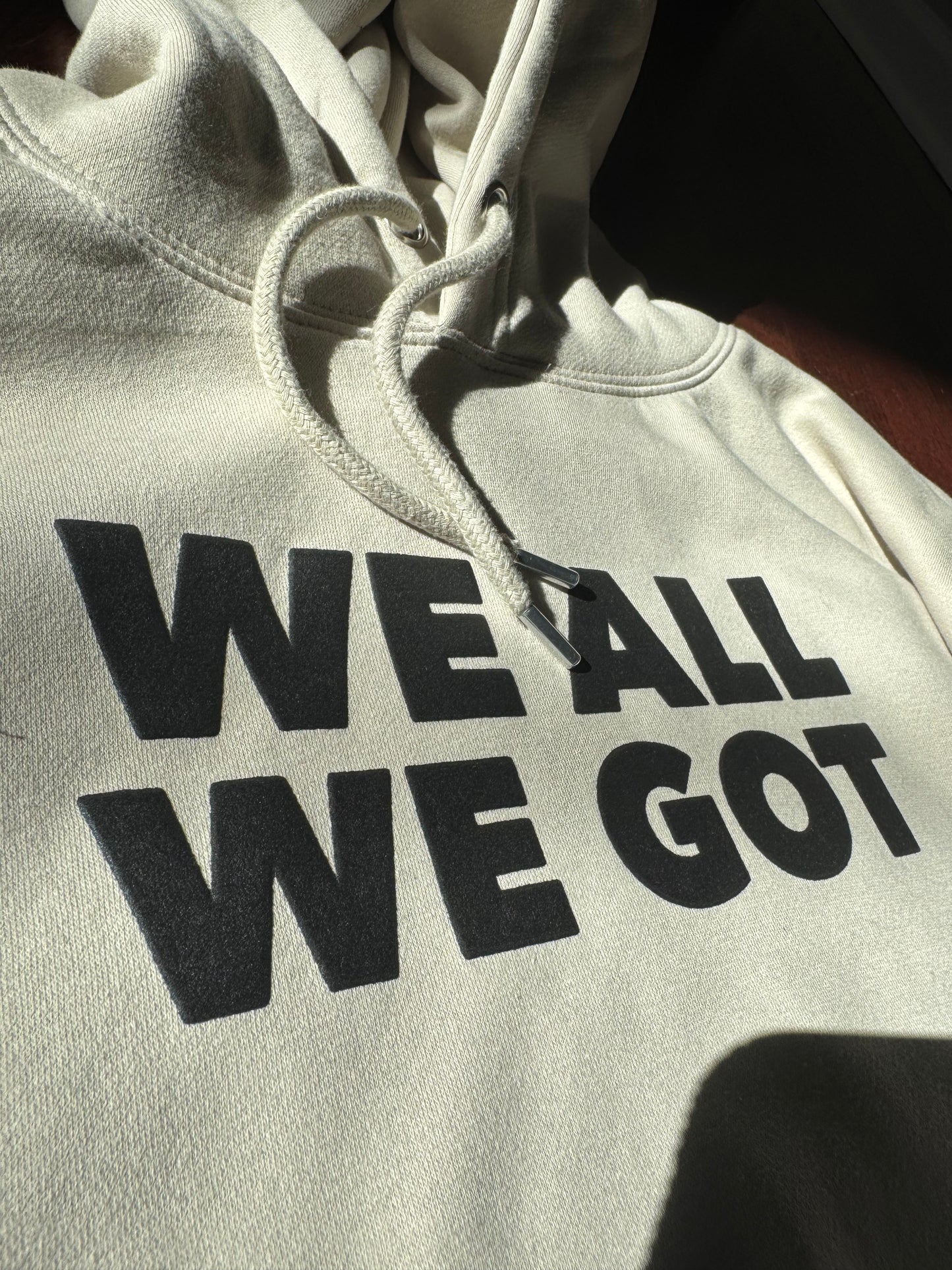 WE ALL WE GOT (Ultra Premium Heavyweight)(Hoodie)