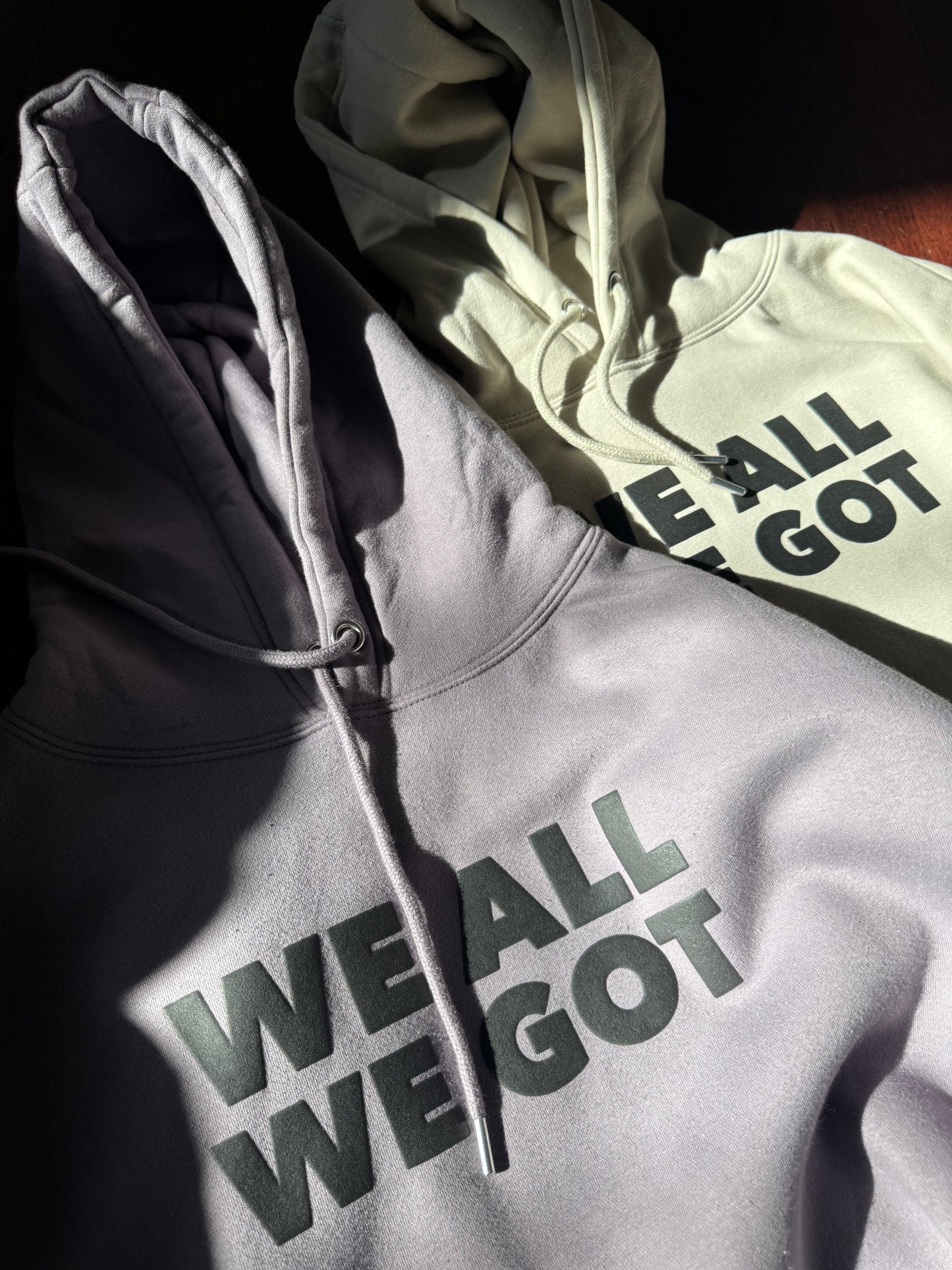 WE ALL WE GOT (Ultra Premium Heavyweight)(Hoodie)